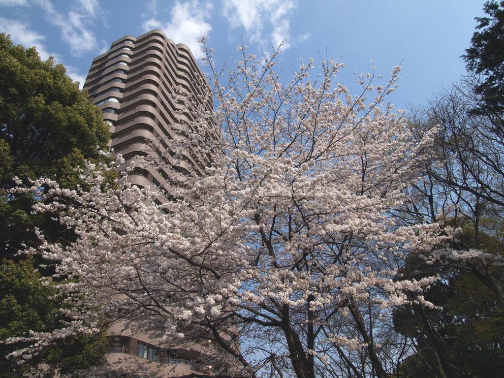 Tokyo Marriott Hotel Экстерьер фото